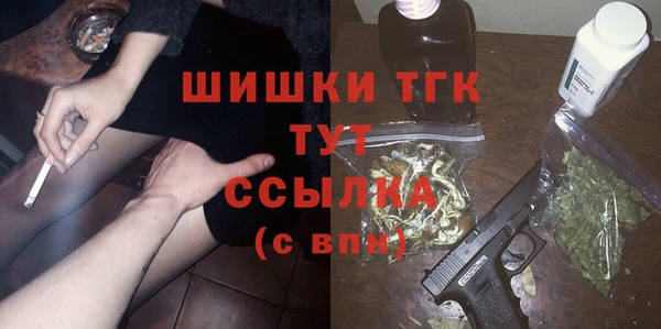 спиды Инсар