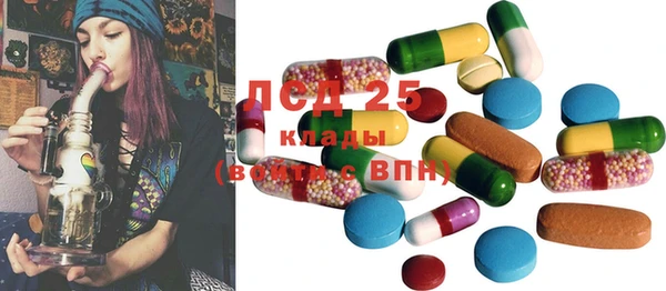 ГАЛЛЮЦИНОГЕННЫЕ ГРИБЫ Арсеньев