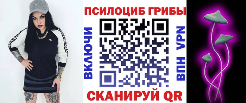 Псилоцибиновые грибы мицелий  купить  цена  omg онион  маркетплейс телеграм  Сыктывкар 